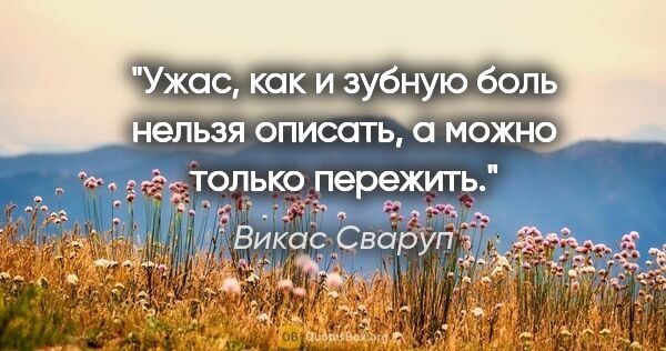 Викас Сваруп цитата: "Ужас, как и зубную боль нельзя описать, а можно только пережить."