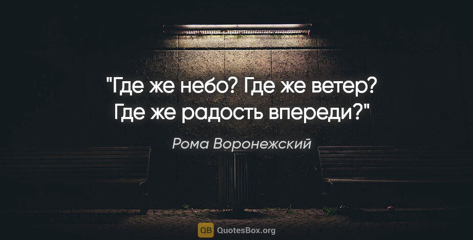 Рома Воронежский цитата: "Где же небо?

Где же ветер?

Где же радость впереди?"