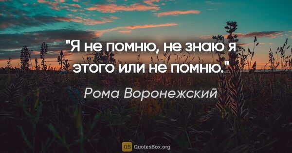 Рома Воронежский цитата: "Я не помню, не знаю я этого или не помню."