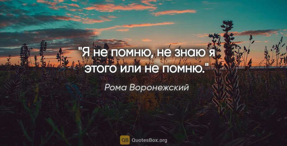 Рома Воронежский цитата: "Я не помню, не знаю я этого или не помню."