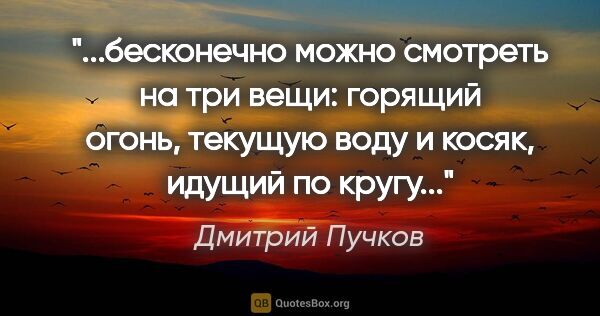 Дмитрий Пучков цитата: "бесконечно можно смотреть на три вещи: горящий огонь, текущую..."