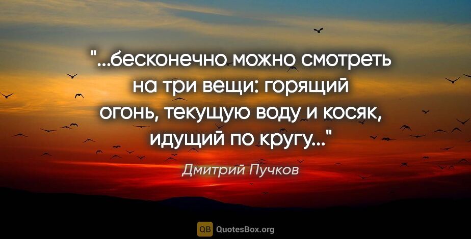 Дмитрий Пучков цитата: "бесконечно можно смотреть на три вещи: горящий огонь, текущую..."