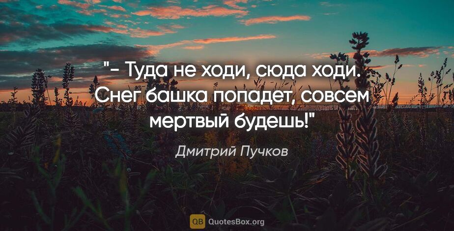 Дмитрий Пучков цитата: "- Туда не ходи, сюда ходи. Снег башка попадет, совсем мертвый..."