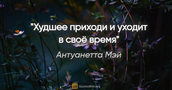 Антуанетта Мэй цитата: ""Худшее приходи и уходит в своё время""