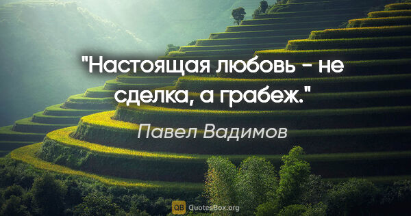 Павел Вадимов цитата: "Настоящая любовь - не сделка, а грабеж."