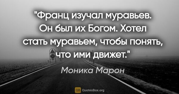 Моника Марон цитата: "Франц изучал муравьев. Он был их Богом. Хотел стать муравьем,..."