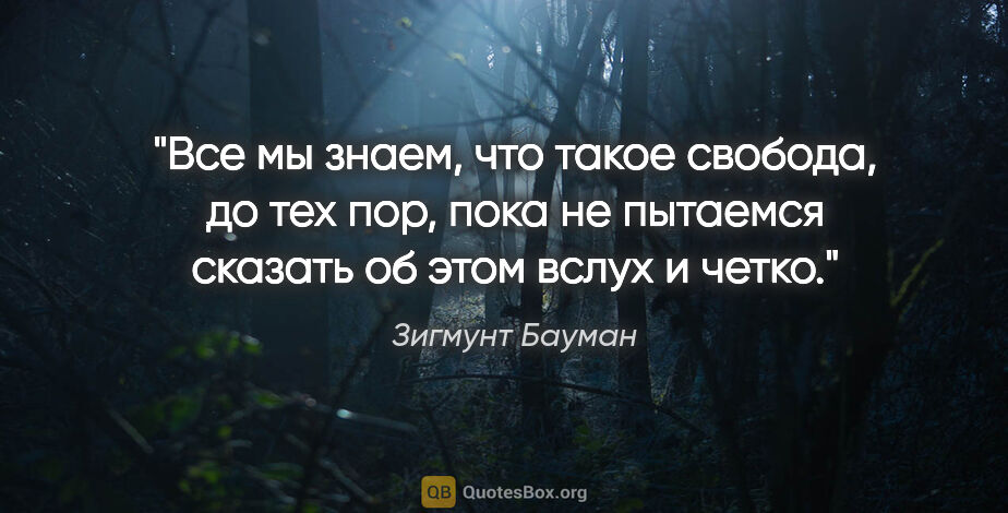 Зигмунт Бауман цитата: "Все мы знаем, что такое свобода, до тех пор, пока не пытаемся..."