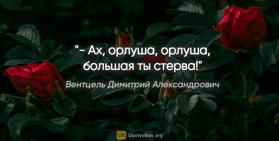 Вентцель Димитрий Александрович цитата: "- Ах, орлуша, орлуша, большая ты стерва!"