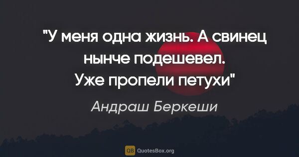 Андраш Беркеши цитата: "У меня одна жизнь. А свинец нынче подешевел.

Уже пропели петухи"