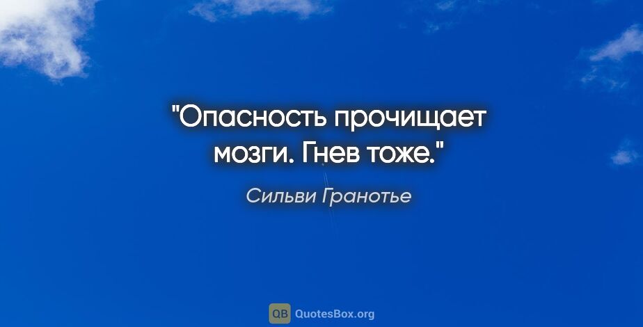 Сильви Гранотье цитата: "Опасность прочищает мозги. Гнев тоже."