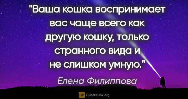 Елена Филиппова цитата: "Ваша кошка воспринимает вас чаще всего как другую кошку,..."