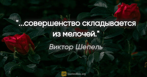 Виктор Шепель цитата: "...совершенство складывается из мелочей."