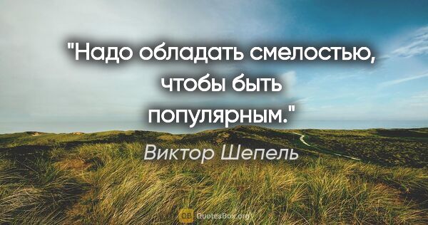 Виктор Шепель цитата: "Надо обладать смелостью, чтобы быть популярным."