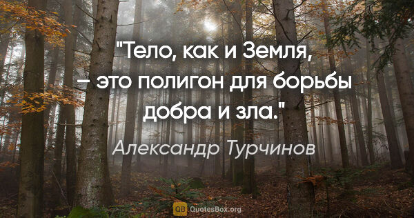 Александр Турчинов цитата: "Тело, как и Земля, – это полигон для борьбы добра и зла."