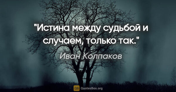Иван Колпаков цитата: "Истина между судьбой и случаем, только так."