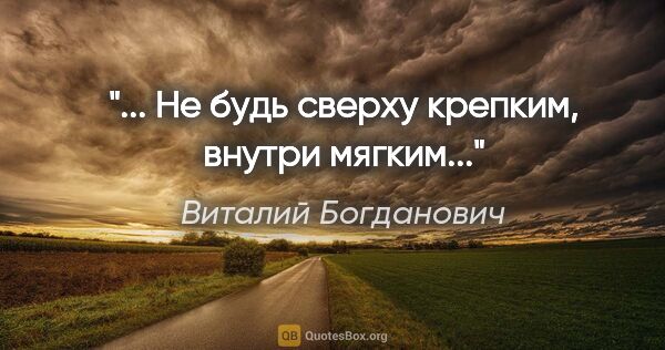 Виталий Богданович цитата: ""... Не будь сверху крепким, внутри мягким...""