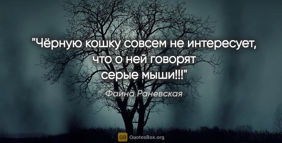 Фаина Раневская цитата: "Чёрную кошку совсем не интересует, что о ней говорят серые..."