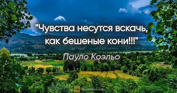 Пауло Коэльо цитата: "Чувства несутся вскачь, как бешеные кони!!!"