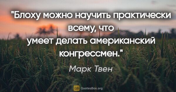 Марк Твен цитата: "Блоху можно научить практически всему, что умеет делать..."