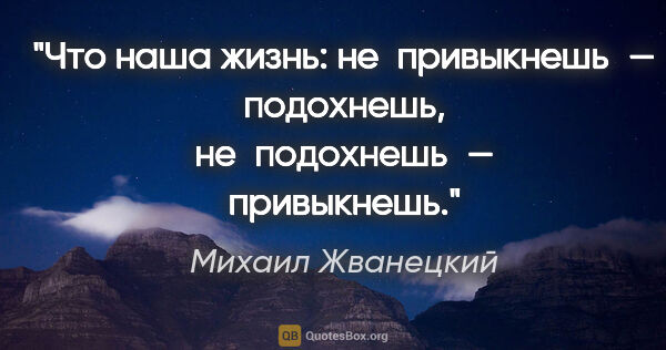 Михаил Жванецкий цитата: "Что наша жизнь: не привыкнешь — подохнешь, не подохнешь —..."