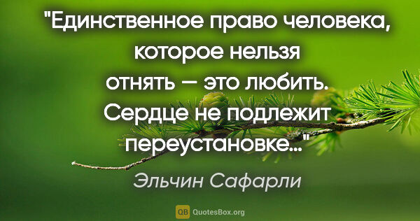 Эльчин Сафарли цитата: "Единственное право человека, которое нельзя отнять — это..."