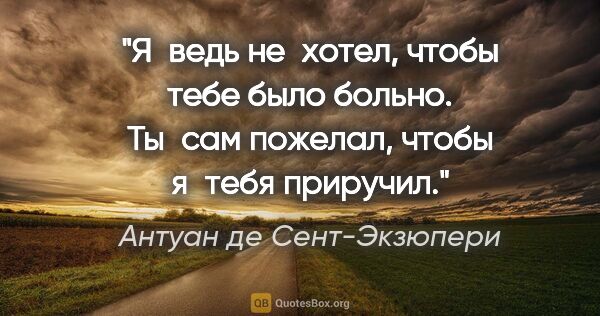 Антуан де Сент-Экзюпери цитата: "Я ведь не хотел, чтобы тебе было больно. Ты сам пожелал, чтобы..."