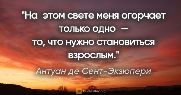 Антуан де Сент-Экзюпери цитата: "На этом свете меня огорчает только одно — то, что нужно..."