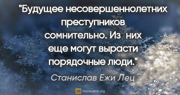 Станислав Ежи Лец цитата: "Будущее несовершеннолетних преступников сомнительно. Из них..."