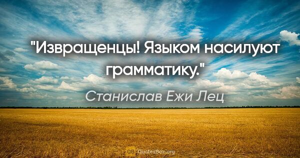 Станислав Ежи Лец цитата: "Извращенцы! Языком насилуют грамматику."