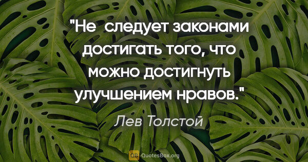 Лев Толстой цитата: "Не следует законами достигать того, что можно достигнуть..."