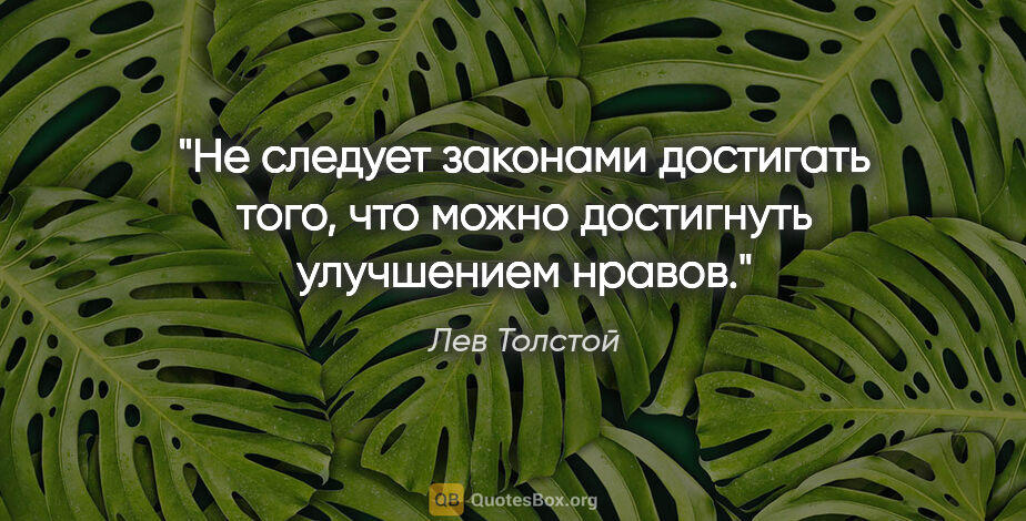 Лев Толстой цитата: "Не следует законами достигать того, что можно достигнуть..."
