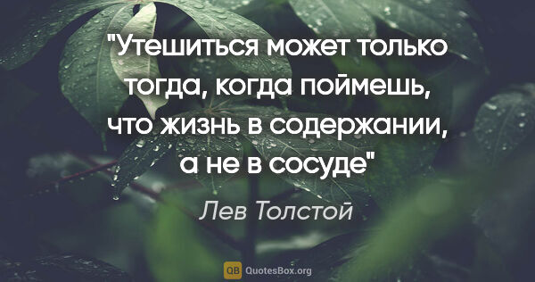 Лев Толстой цитата: "Утешиться может только тогда, когда поймешь, что жизнь..."