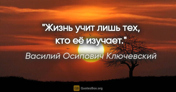 Василий Осипович Ключевский цитата: "«Жизнь учит лишь тех, кто её изучает»."
