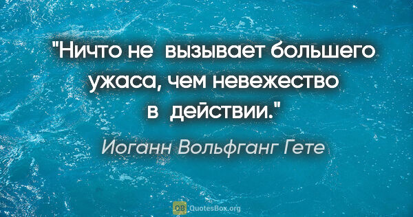 Иоганн Вольфганг Гете цитата: "Ничто не вызывает большего ужаса, чем невежество в действии."