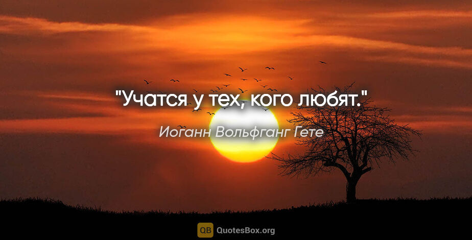 Иоганн Вольфганг Гете цитата: "Учатся у тех, кого любят."