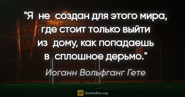 Иоганн Вольфганг Гете цитата: "Я не создан для этого мира, где стоит только выйти из дому,..."