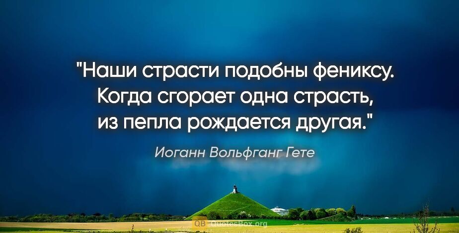 Иоганн Вольфганг Гете цитата: "Наши страсти подобны фениксу. Когда сгорает одна страсть,..."