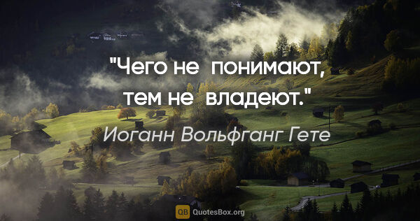 Иоганн Вольфганг Гете цитата: "«Чего не понимают, тем не владеют.»"