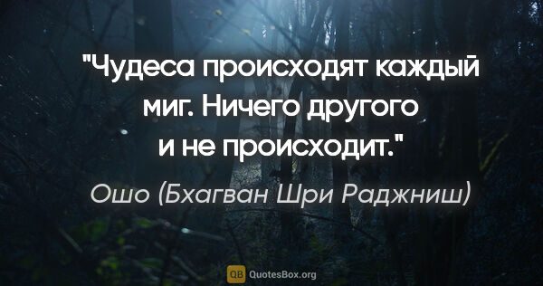 Ошо (Бхагван Шри Раджниш) цитата: "Чудеса происходят каждый миг. Ничего другого и не происходит."