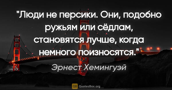 Эрнест Хемингуэй цитата: "Люди не персики. Они, подобно ружьям или сёдлам, становятся..."