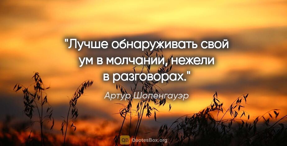 Артур Шопенгауэр цитата: "Лучше обнаруживать свой ум в молчании, нежели в разговорах."