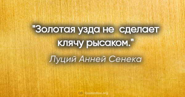 Луций Анней Сенека цитата: "Золотая узда не сделает клячу рысаком."