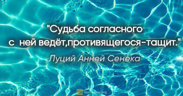 Луций Анней Сенека цитата: "Судьба согласного с ней ведёт,противящегося-тащит."