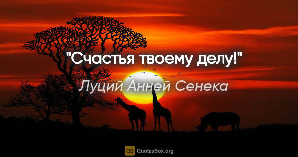 Луций Анней Сенека цитата: "Счастья твоему делу!"