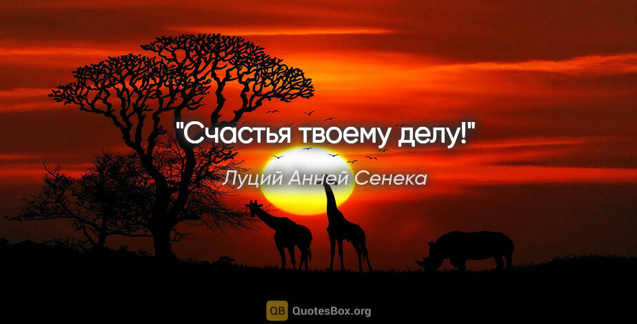 Луций Анней Сенека цитата: "Счастья твоему делу!"