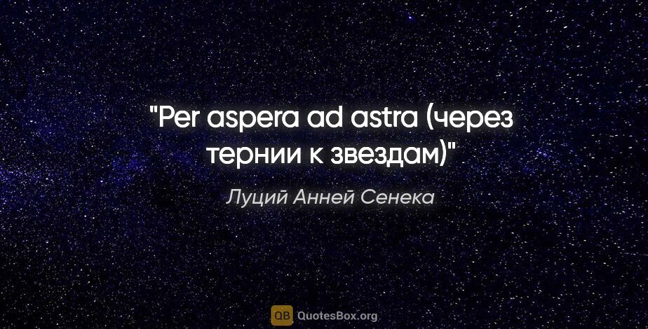 Луций Анней Сенека цитата: "Per aspera ad astra (через тернии к звездам)"