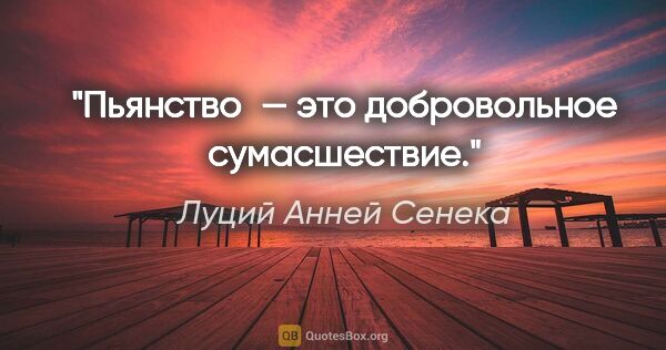 Луций Анней Сенека цитата: "Пьянство — это добровольное сумасшествие."