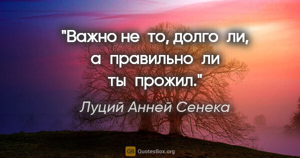 Луций Анней Сенека цитата: "Важно не то, долго ли, а правильно ли ты прожил."