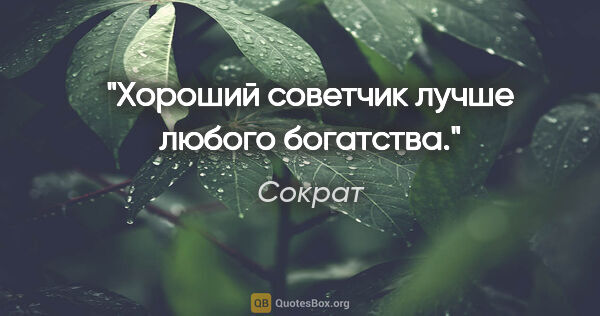 Сократ цитата: "Хороший советчик лучше любого богатства."