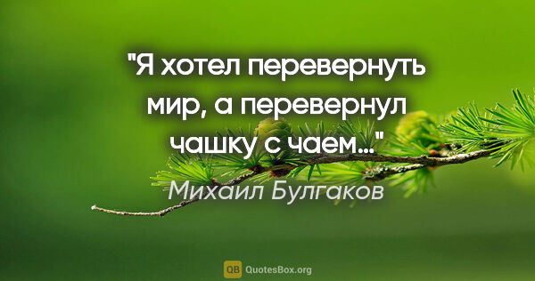 Михаил Булгаков цитата: "Я хотел перевернуть мир, а перевернул чашку с чаем…"